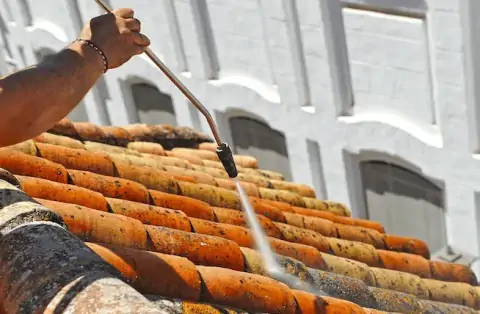 Nettoyage de toitures - Venon